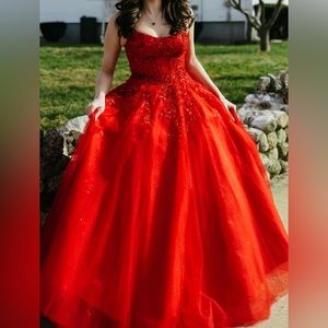 Gorgeous Quinceanera/Sweet 16/Pageant dress